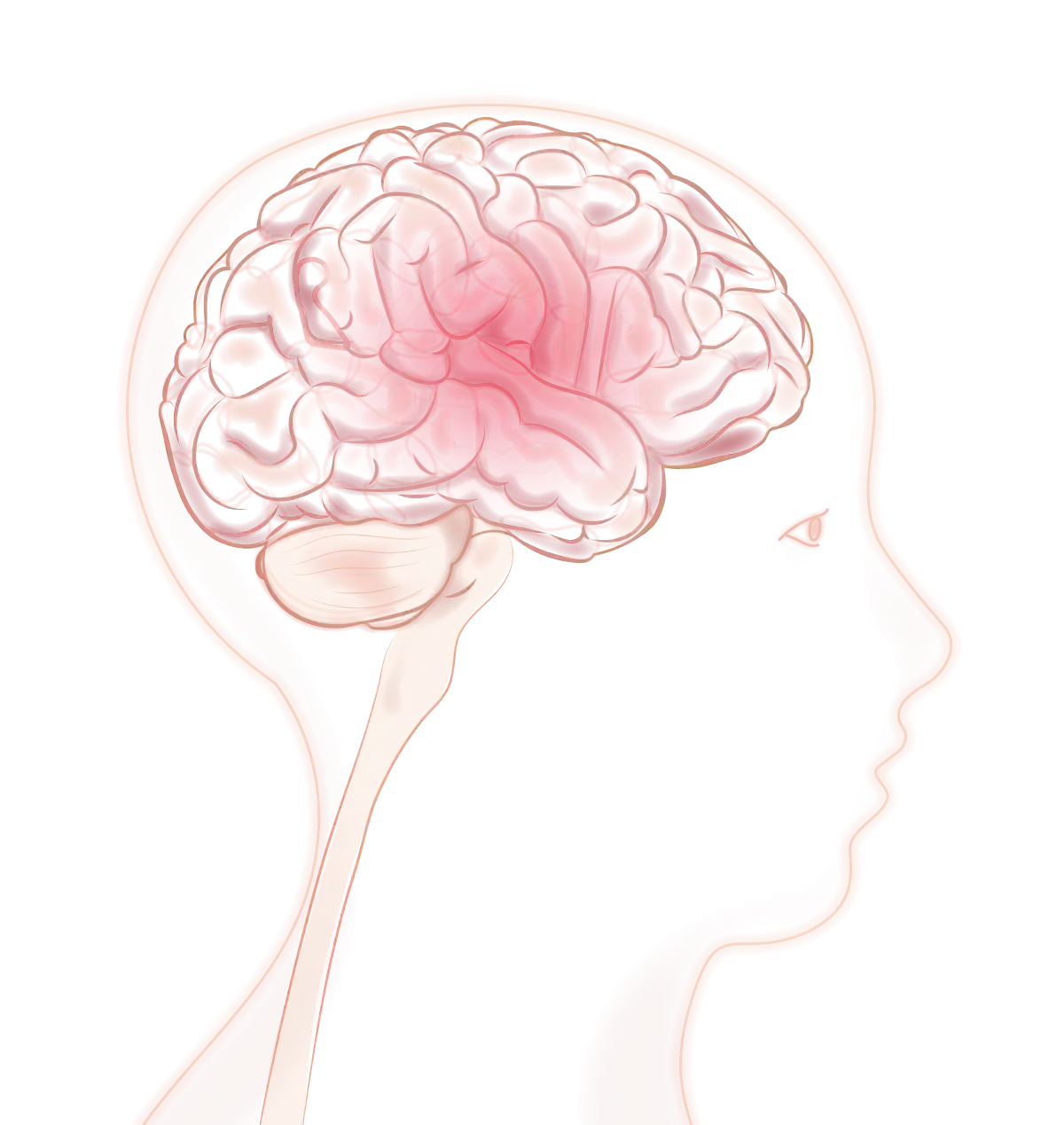 Menschliche Silhouette und Gehirn